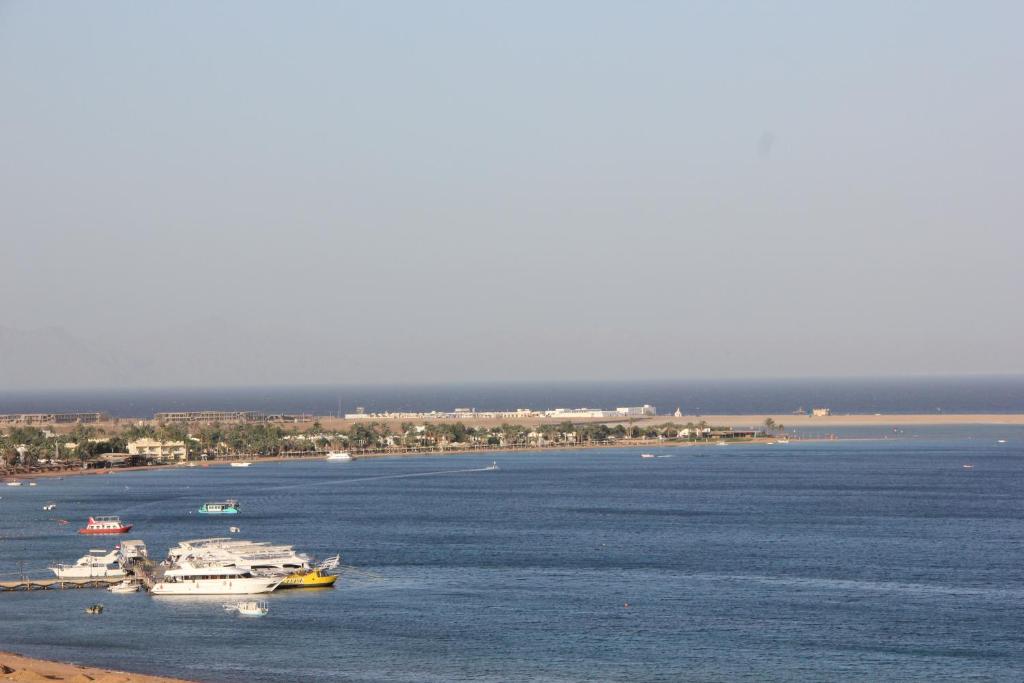 SEA VIEW PANORAMA SUNNY DAHAB